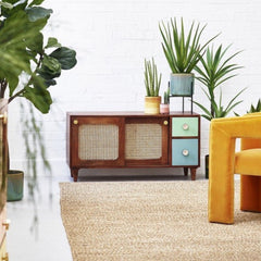 Rattan Solid Wood TV Cabinet