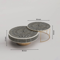 The Monochrome Orbit Set