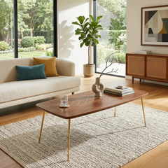 Alara Solid Sheesham Wood Coffee Table with Brass Inlay