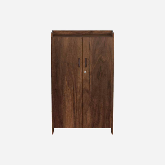 Modern 2-Door Wooden Shoe Cabinet