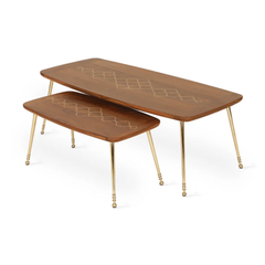 Alara Solid Sheesham Wood Coffee Table Set with Brass Inlay