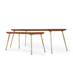 Alara Solid Sheesham Wood Coffee Table Set with Brass Inlay