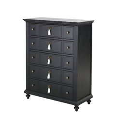 Astor Apothecary-Style Black Dresser