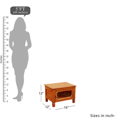 Walken Solid Wood Nightstand
